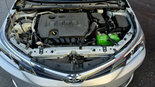 Corolla (1)