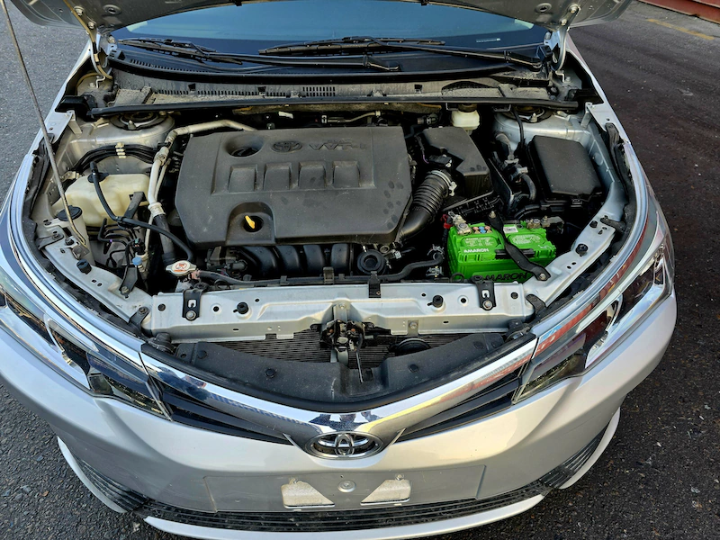 Corolla (1)