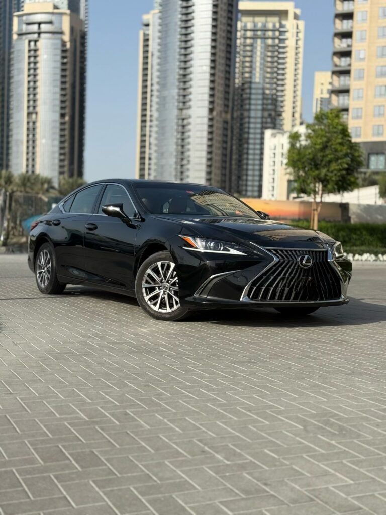Lexus es 300h (10)