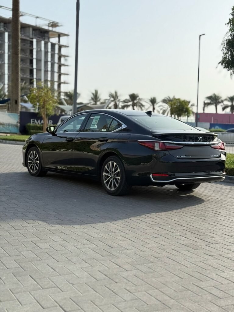 Lexus es 300h (11)