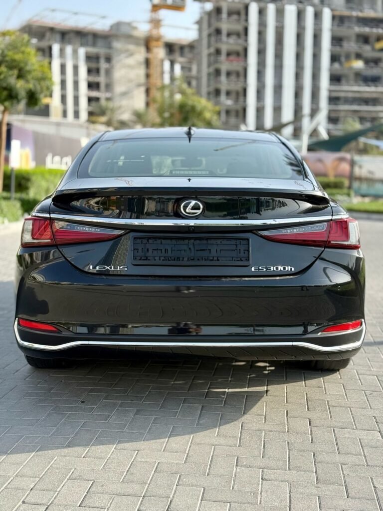 Lexus es 300h (4)