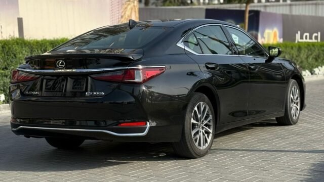 Lexus es 300h (8)
