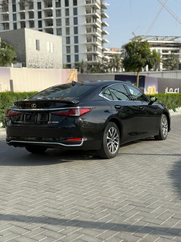 Lexus es 300h (8)