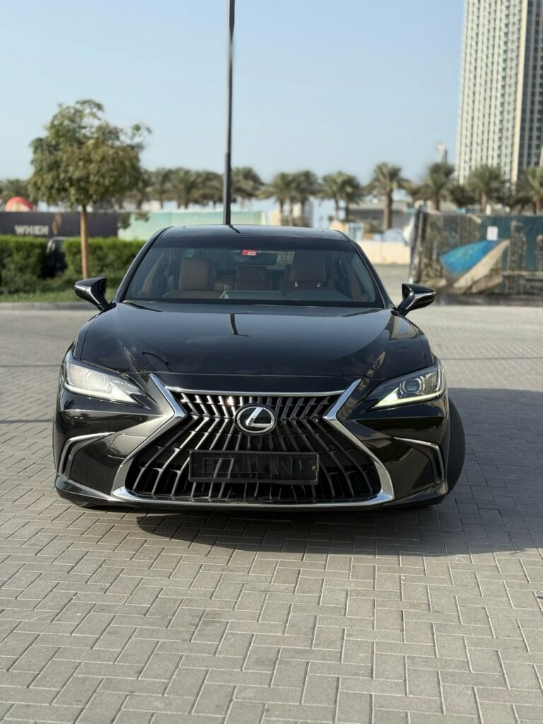 Lexus es 300h (9)