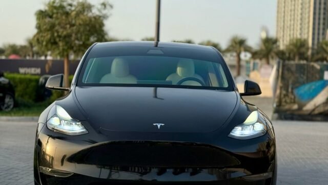 MODEL Y LONG RANGE (1)