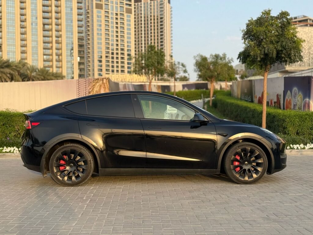 MODEL Y LONG RANGE (2)