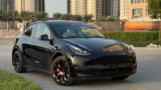 MODEL Y LONG RANGE (3)