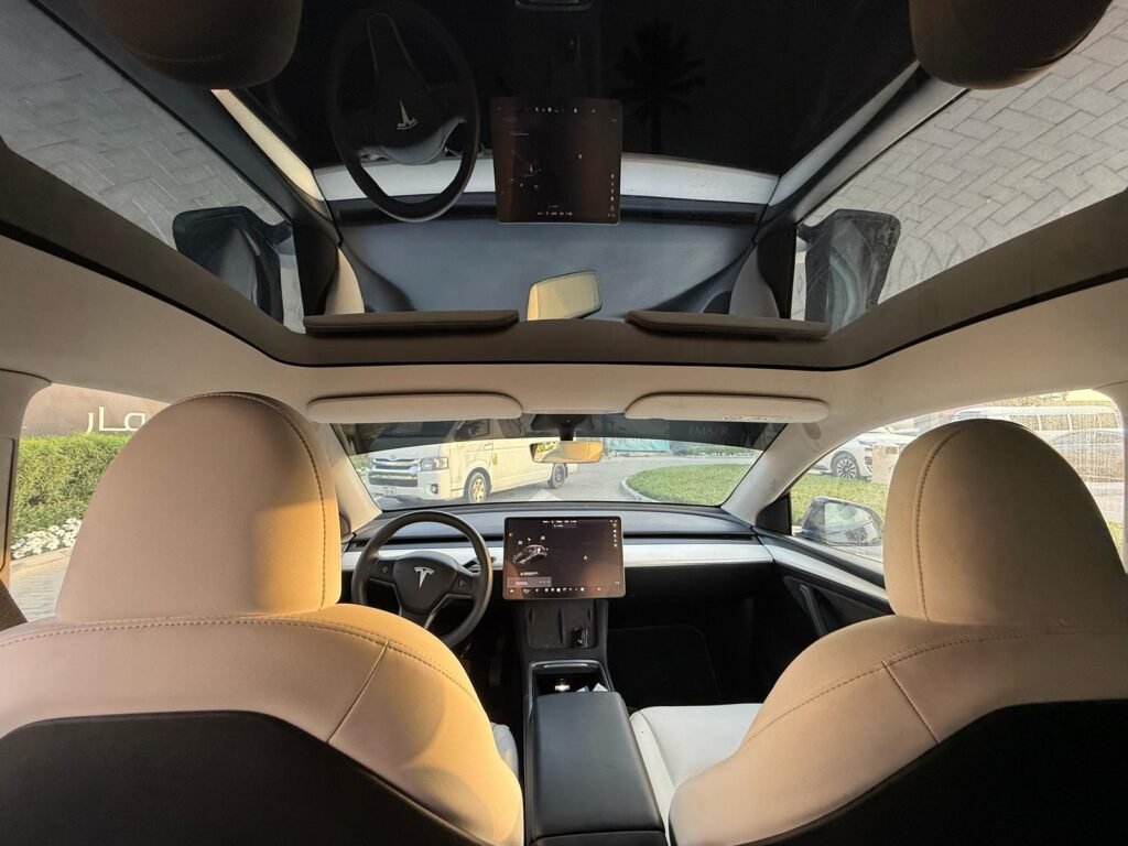MODEL Y LONG RANGE (5)