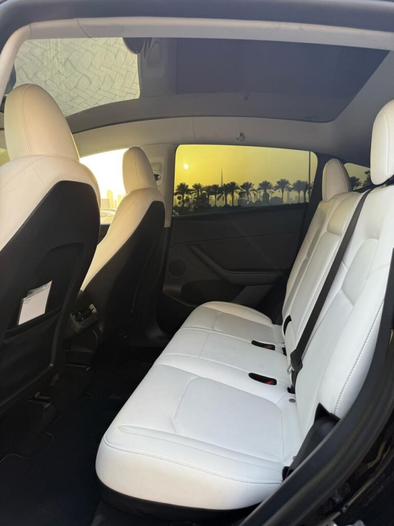 MODEL Y LONG RANGE (6)