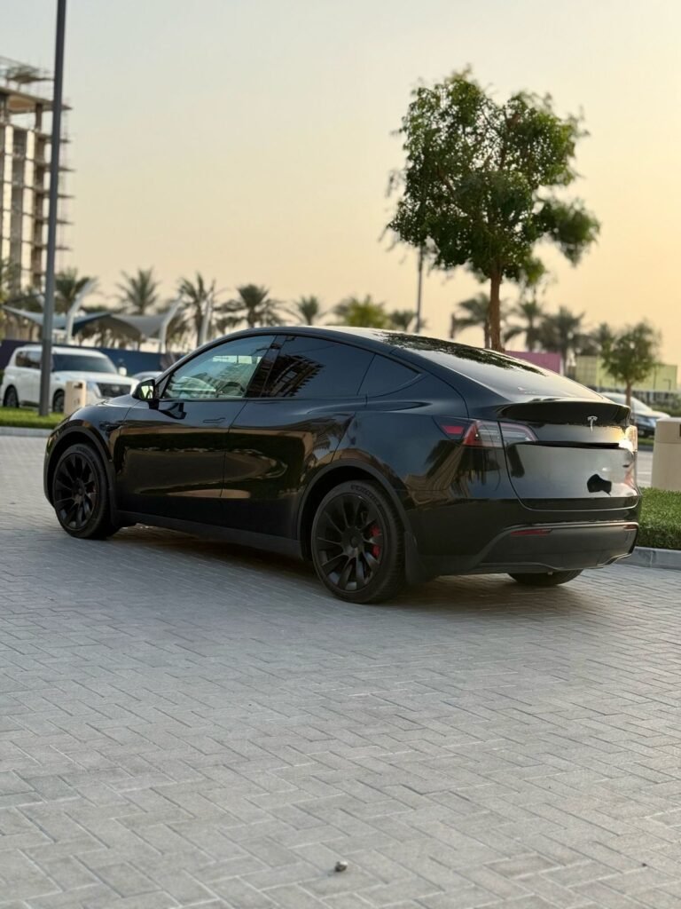MODEL Y LONG RANGE (7)