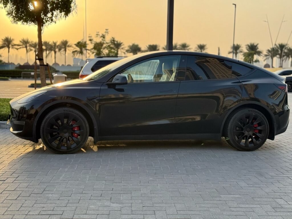 MODEL Y LONG RANGE (8)