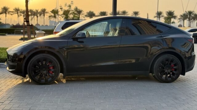 MODEL Y LONG RANGE (8)