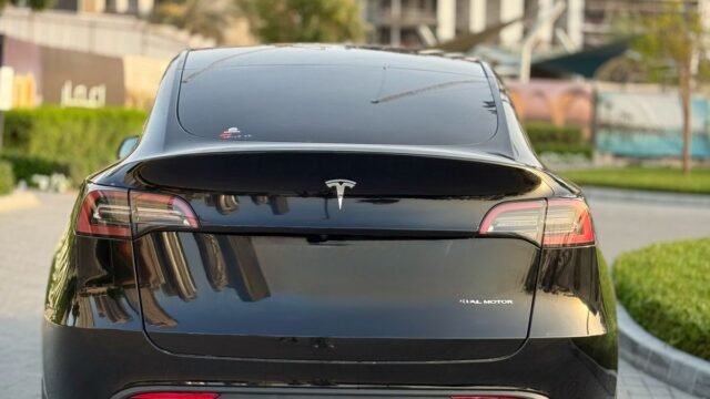 MODEL Y LONG RANGE (9)